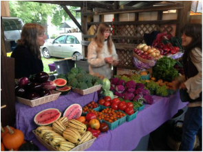 Pick up your CSA share at the Ithaca Farmers Market, Steamboat Landing.